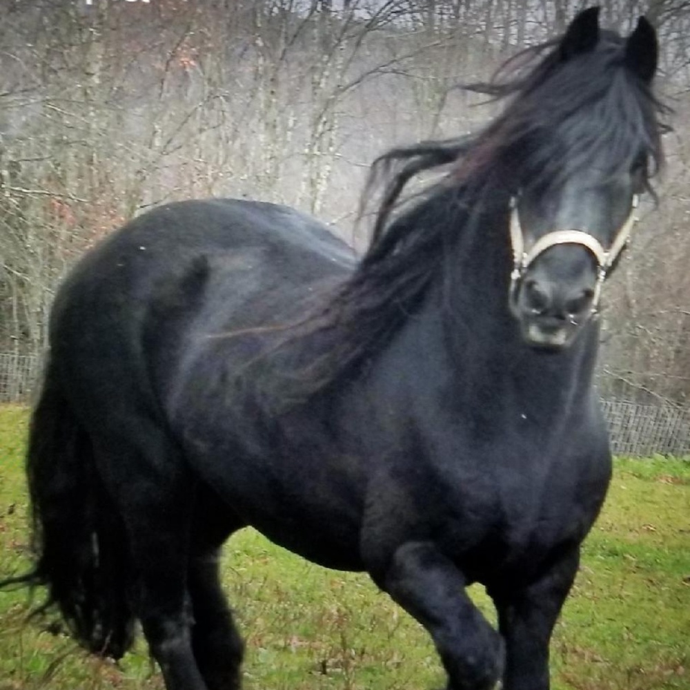 Meet your Posher, Jamie